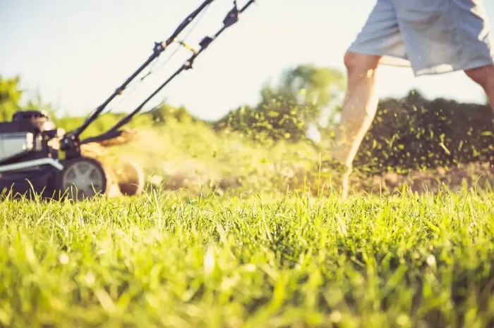 Can you mow wet grass in Bend, OR