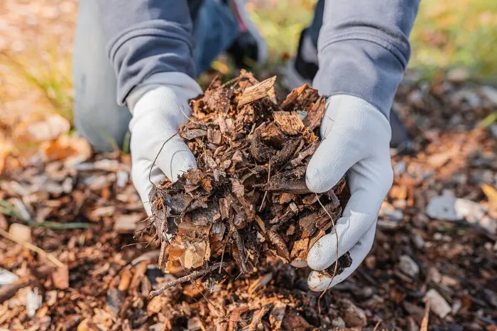 Dependable Mulching in Bend, OR