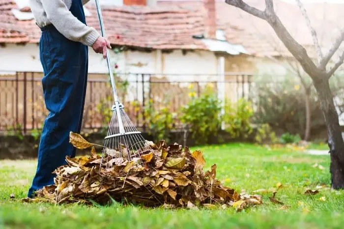 Detailed Yard Cleanup in Bend, OR