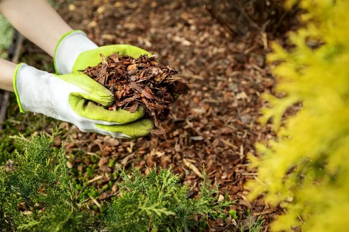 Excellent Mulching in Bend, OR