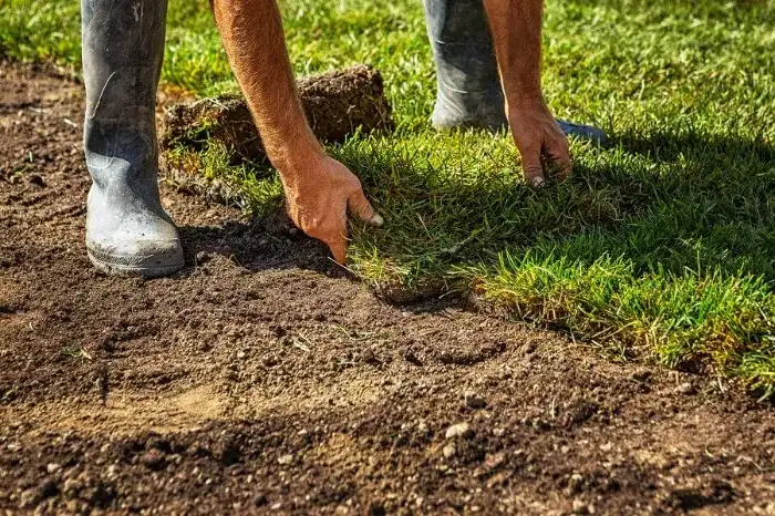 Excellent Sod Installation in Bend, OR