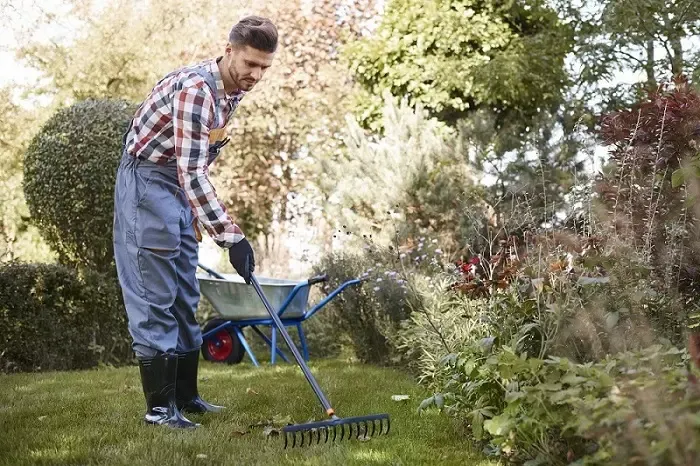 Exceptional Yard Cleanup in Bend, OR