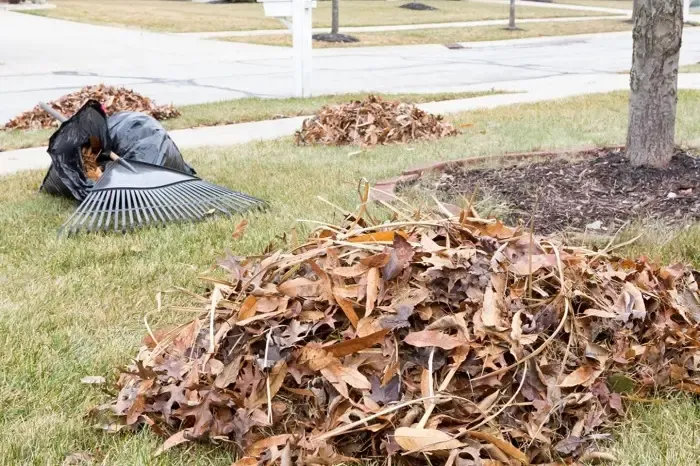 High-quality Yard Cleanup in Bend, OR