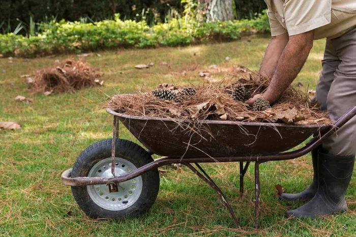 How To Clean A Backyard in Bend, OR