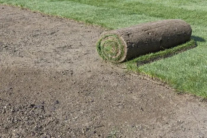 How long after installing sod can you walk on it Bend, OR