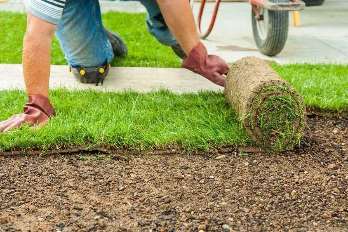 How long after installing sod can you walk on it in Bend, OR