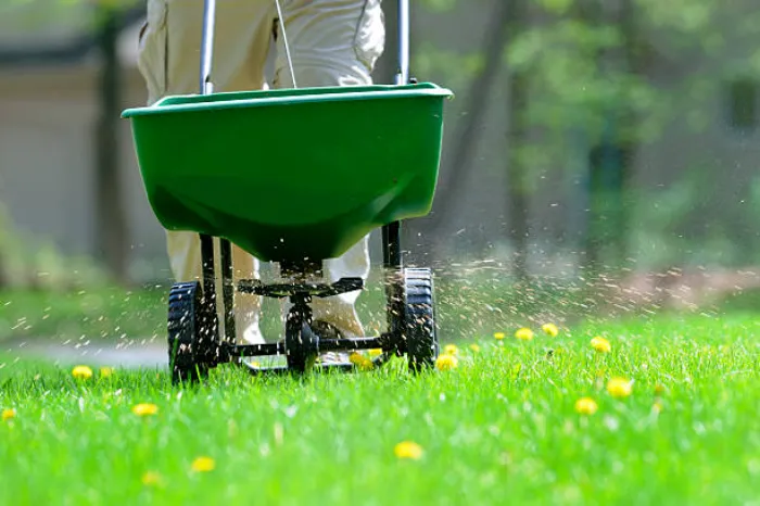 How often should you fertilize your lawn in Bend, OR