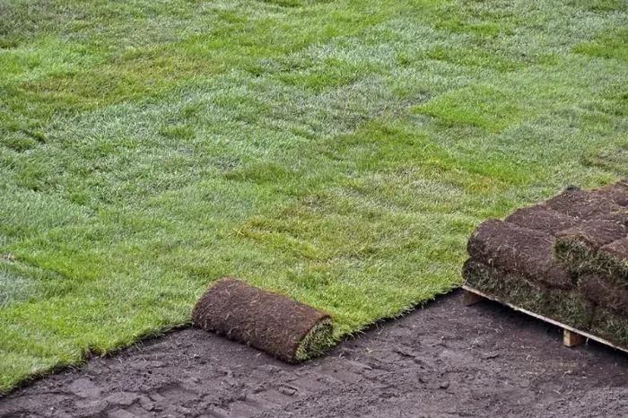 How to lay sod over existing lawn Bend, OR