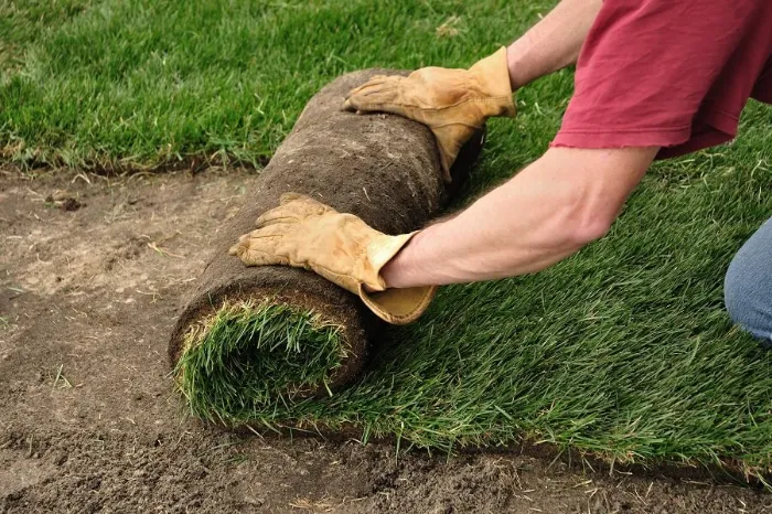 Proficient Sod Installation in Bend, OR