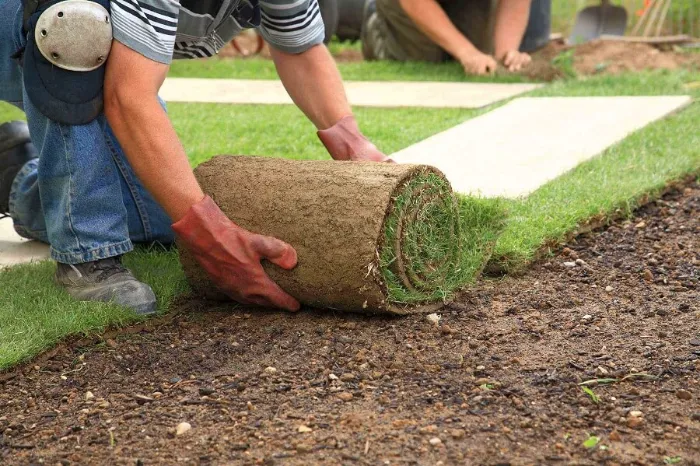 Trusted Sod Installation in Bend, OR