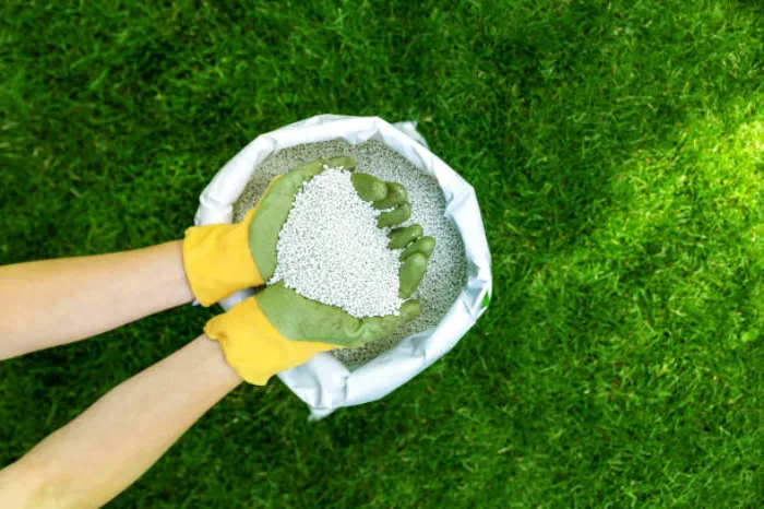 When is the best time to fertilize your lawn Bend, OR